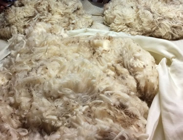 Otra caída en el precio internacional de la lana