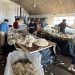 Se retomó la venta internacional de lanas con una baja de 22 centavos