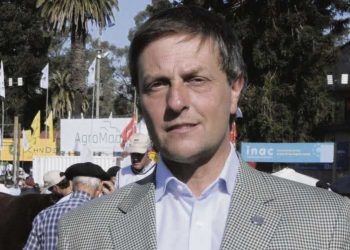 Ricardo Reilly dijo que la concentración de la faena “cambiaría el negocio ganadero y de la industria cárnica de forma estructural”