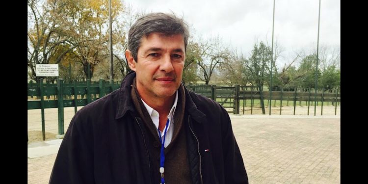 La mosca de la bichera y la garrapata: dos parásitos que generan perjuicios millonarios