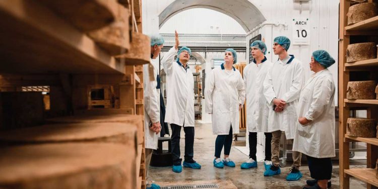 Afine continúa perfeccionándose en la elaboración de quesos de calidad