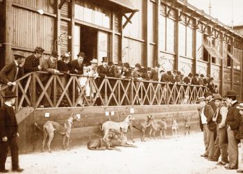Historias de la Expo Prado