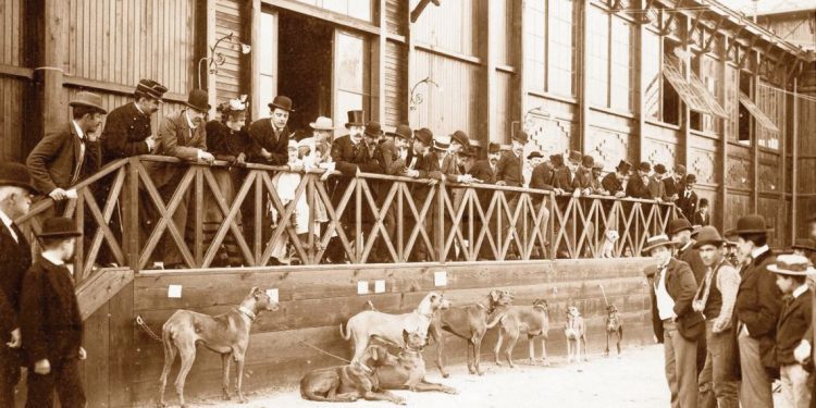 Historias de la Expo Prado