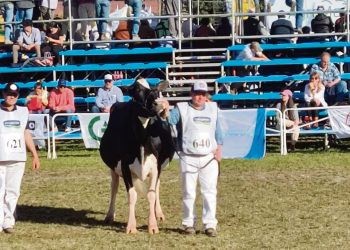 Cabaña El Chivo de Antognazza se prepara para ser animadores de la Expo Prado