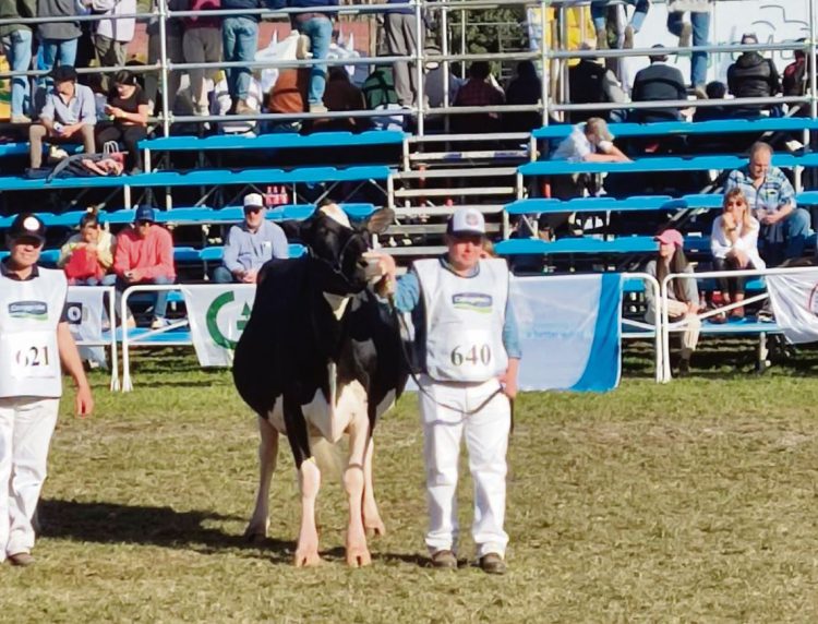 Cabaña El Chivo de Antognazza se prepara para ser animadores de la Expo Prado
