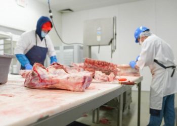 Dip. Rafael Menéndez: “Se deben agilizar los permisos de exportación de ganado en pie”