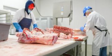 Dip. Rafael Menéndez: “Se deben agilizar los permisos de exportación de ganado en pie”