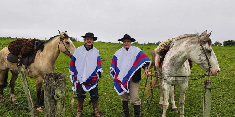 El artiguismo presente