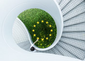 Las redes necesarias para las oportunidades del Pacto Verde