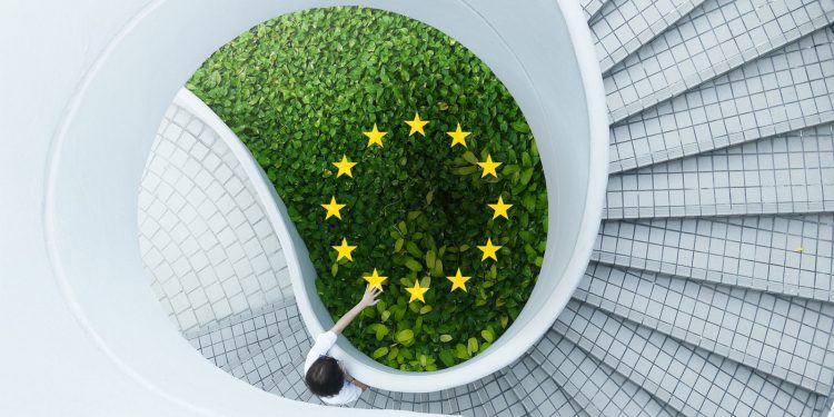 Las redes necesarias para las oportunidades del Pacto Verde