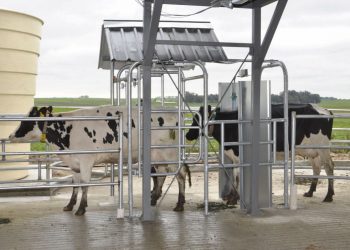 Carlos Torterolo: La baja del precio al productor “generó un desánimo muy grande”