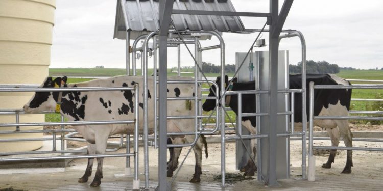 Carlos Torterolo: La baja del precio al productor “generó un desánimo muy grande”