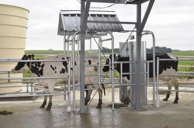 Carlos Torterolo: La baja del precio al productor “generó un desánimo muy grande”