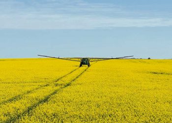 Persisten las preocupaciones en la agricultura