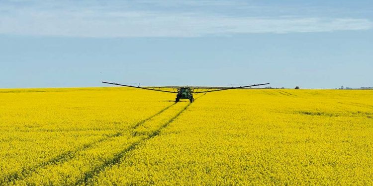 Persisten las preocupaciones en la agricultura
