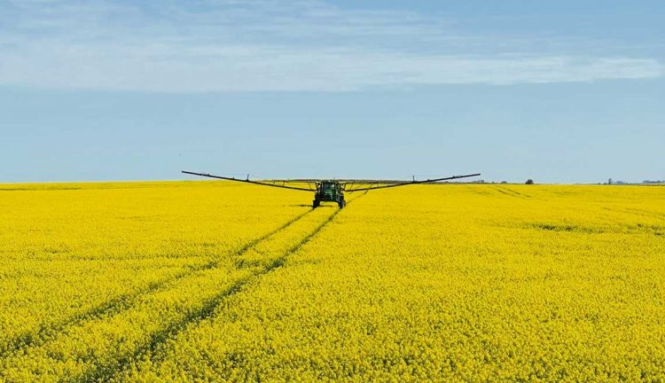 Persisten las preocupaciones en la agricultura