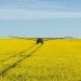 Persisten las preocupaciones en la agricultura
