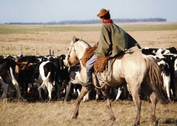 La trampa del neoproteccionismo ambiental