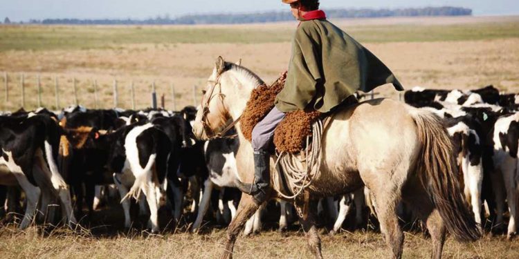 La trampa del neoproteccionismo ambiental