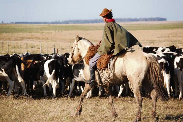 La trampa del neoproteccionismo ambiental