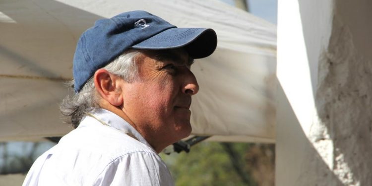 Los productores siguen incorporando genética