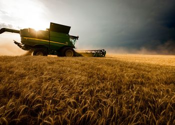 Futuro incierto para el agro