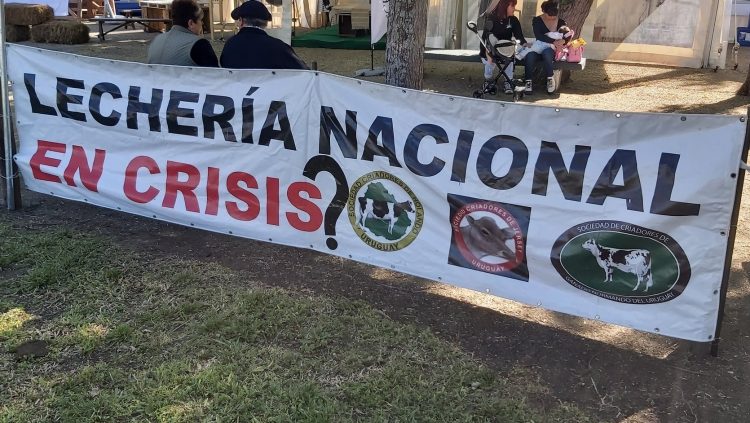 Presidente de la Rural de San José: “El reclamo del productor se escucha, pero no se atiende”