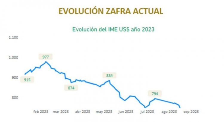 El valor de la lana parece buscar un nuevo piso