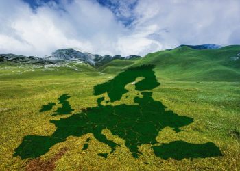 Jorge A. Rodríguez: El Pacto Verde es “un abuso europeo”