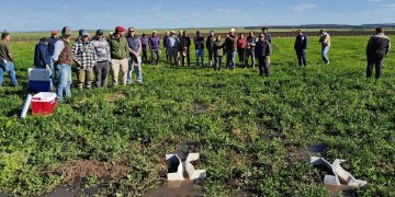 Riego por superficie: una herramienta fundamental en periodos de sequía