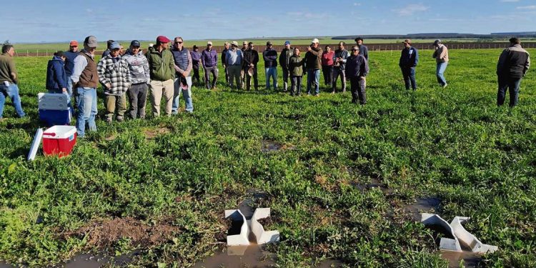 Riego por superficie: una herramienta fundamental en periodos de sequía