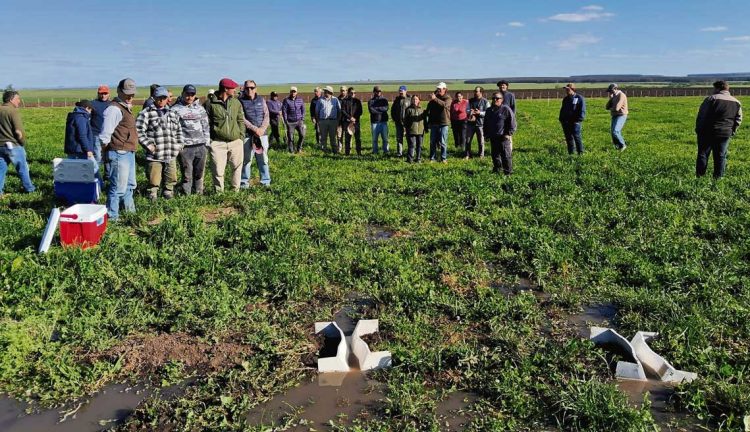 Riego por superficie: una herramienta fundamental en periodos de sequía