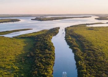 “Con los proyectos de hidrógeno verde vamos a estar regalando fertilidad y agua, vamos rumbo al abismo”