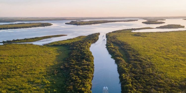 “Con los proyectos de hidrógeno verde vamos a estar regalando fertilidad y agua, vamos rumbo al abismo”
