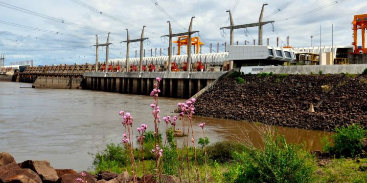 CTM de Salto Grande: deben renunciar