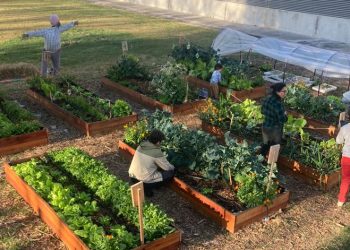 Generar comunidad a través de la tierra