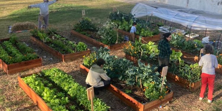 Generar comunidad a través de la tierra