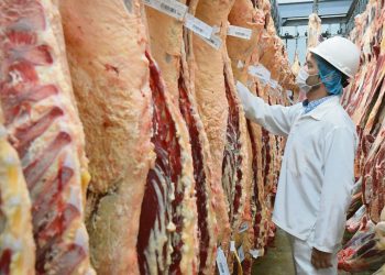 Presidente de ARU dijo que si se autoriza la venta de frigoríficos Uruguay perdería su equilibrio