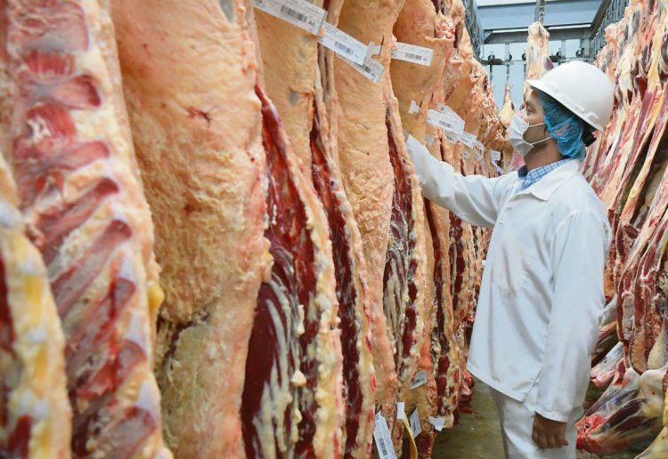 Presidente de ARU dijo que si se autoriza la venta de frigoríficos Uruguay perdería su equilibrio