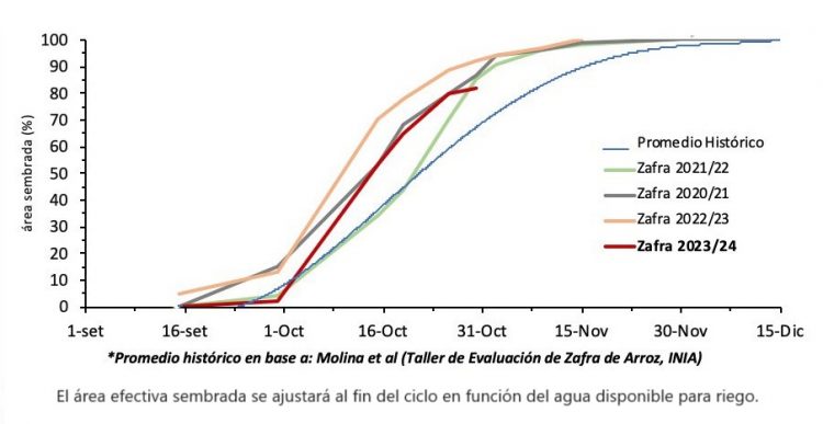 Se sembró más de las tres cuartas partes del área arrocera en fecha óptima