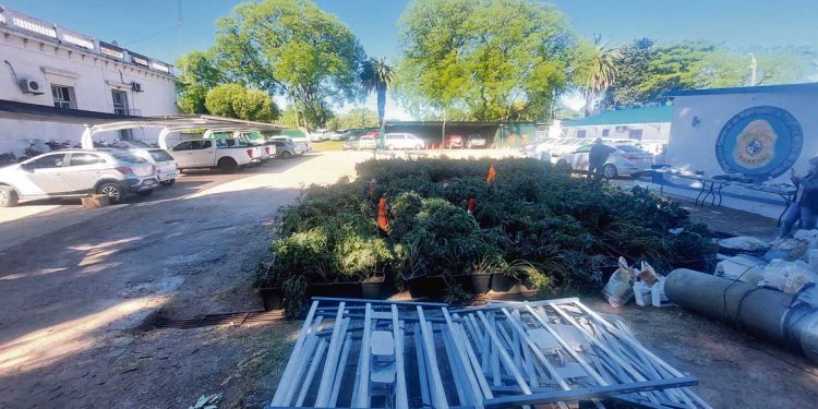 Brigada Antidrogas desarticuló importante grupo delictivo