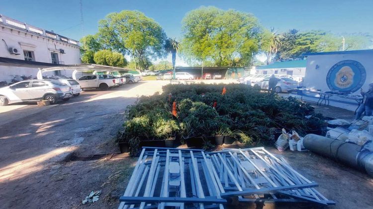 Brigada Antidrogas desarticuló importante grupo delictivo