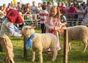 El 11 y 12 de noviembre será la 24° Fiesta del Cordero Pesado