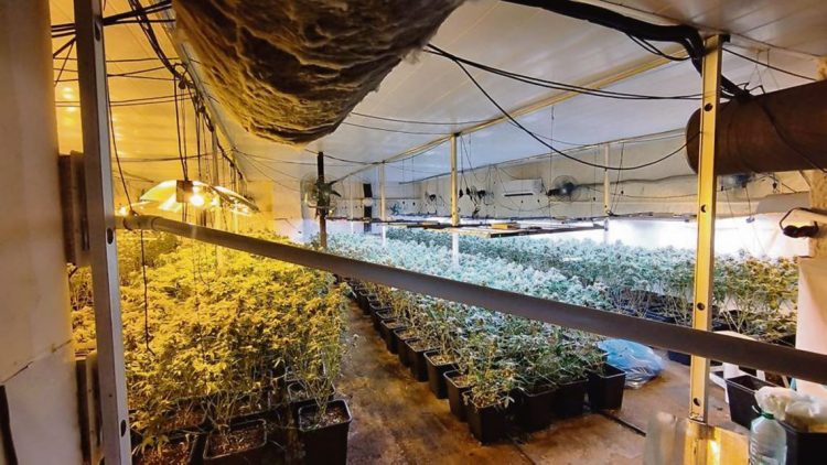 Brigada Antidrogas desarticuló importante grupo delictivo