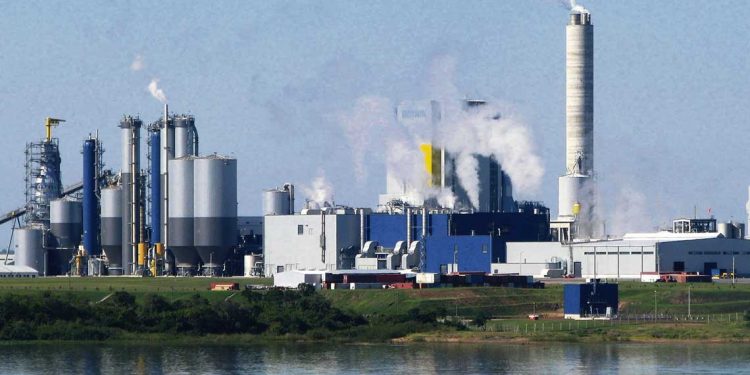 Movus exige paralización total de la planta