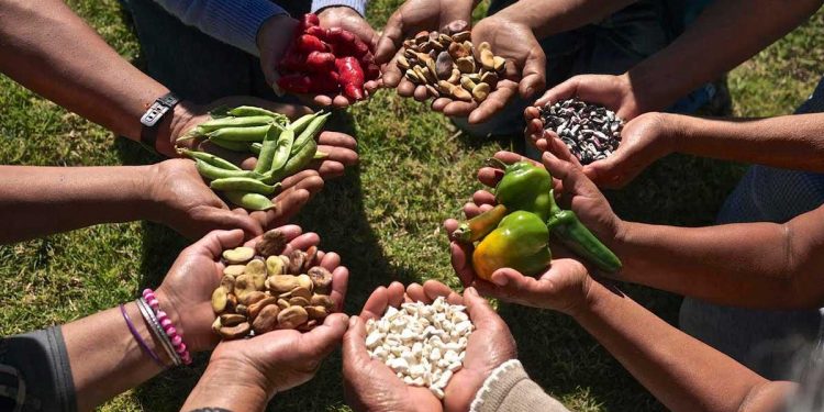 Soberanía alimentaria, soberanía cultural