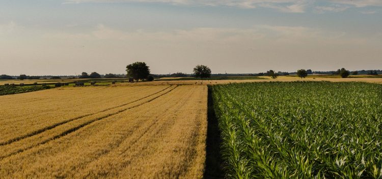 En el primer semestre hubo 603 operaciones de compraventa de tierras por US$ 375 millones