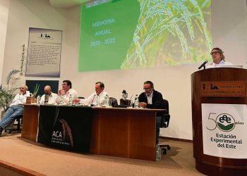 ACA: Costos productivos de la zafra pasada fueron los “más caros de los últimos años”