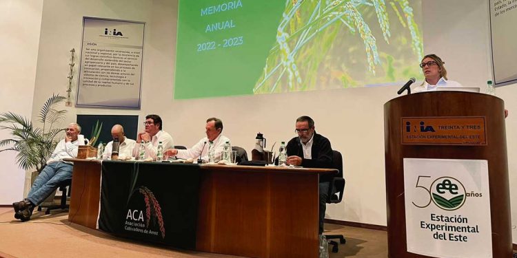 ACA: Costos productivos de la zafra pasada fueron los “más caros de los últimos años”