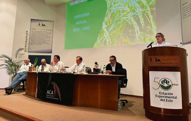 ACA: Costos productivos de la zafra pasada fueron los “más caros de los últimos años”